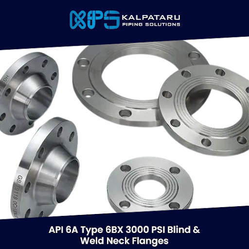 API 6A Type 6BX 3000 PSI Blind & Weld Neck Flanges