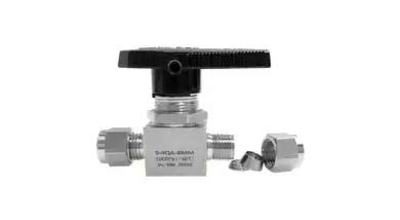 Duplex Steel UNS S32205 Instrumentation Valves