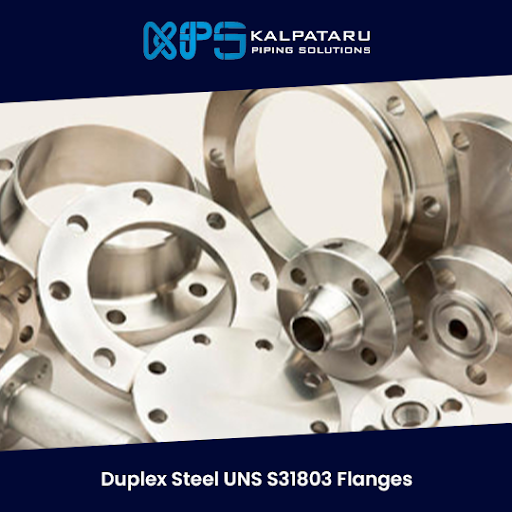 Duplex Steel UNS S31803 Flanges