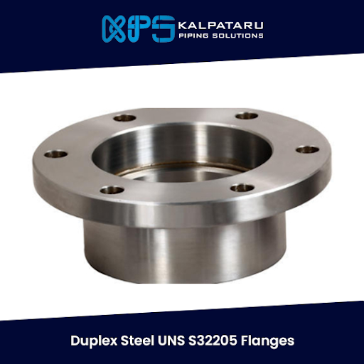 Duplex Steel UNS S32205 Flanges