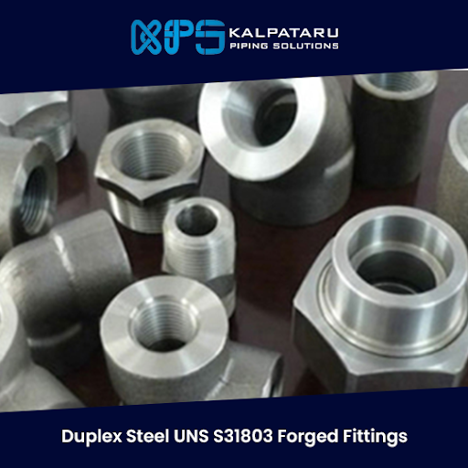 Duplex Steel UNS S31803 Forged Fittings