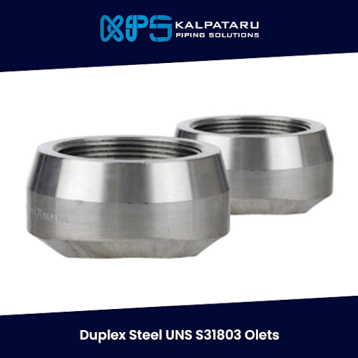 Duplex Steel UNS S31803 Olets