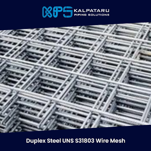 Duplex Steel UNS S31803 Wire Mesh