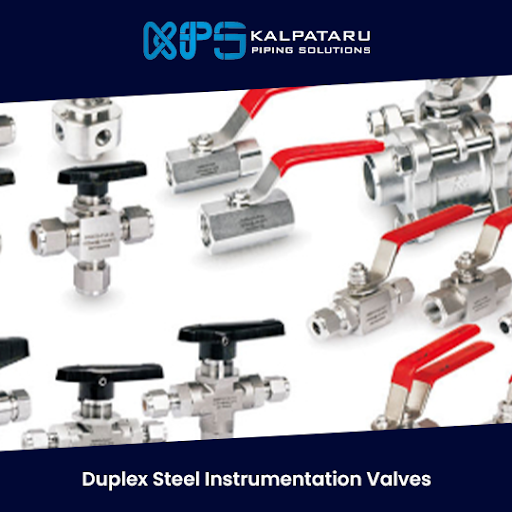 Duplex Steel Instrumentation Valves
