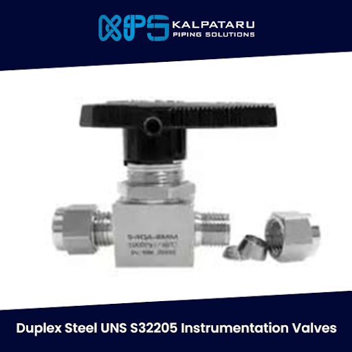 Duplex Steel UNS S32205 Instrumentation Valves Suppliers
Enquire Now